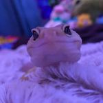 Frankie Murrell Bain - @frankiemurrellbain - Instagram