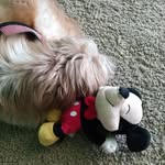 Frank Neira - @spicychic6 - Instagram