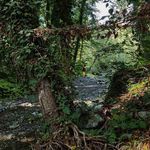 Frank Newell - @franknewell982 - Instagram