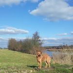 Frank Nowak - @nowakfk - Instagram
