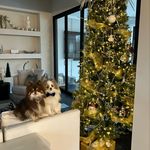Ann Marie - @frankandlucynuzzo - Instagram