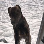 Frank Oatman - @frank.the.tank_23 - Instagram