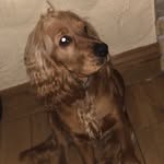 Frank O' Connor - @frank.oconnor19 - Instagram