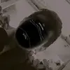 user1990324936488 - @franko.con - TikTok