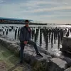 Frank J Oddo - @frankoddo2400 - TikTok