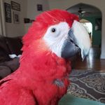 Frank Oddo Jr. - @oddojr.frank - Instagram