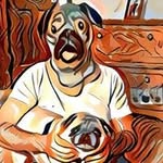 Frank O'Dea - @frank.odea.18 - Instagram