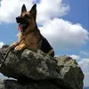Frank Ohl - @frankohl - TikTok