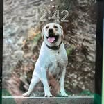 Ohlinger Frank - @ohlinger.frank - Instagram
