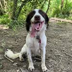 Frank Oleary - @frank_olearyy - Instagram