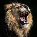 Frank Oller - @ollerfrank - Instagram