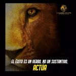 Frank Ontiveros - @gs_frank007 - Instagram
