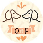 Oreste e Frank - @oreste_frank_dachshund - Instagram