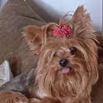 Frank Orta Perez - @piti1960fran - Instagram