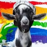 Frank Osborn - @navy.squid71 - Instagram