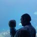 Frank Ottens - Facebook