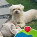 Frank Overmann - Facebook