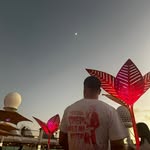 Frank Palma - @fp_cruises - Instagram