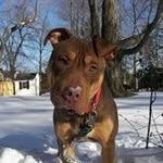 Frank Pandolfo - @frankpandolfo - Instagram