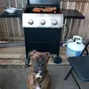 frank_panes - @kobedec3 - TikTok