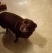 Francis Parrott - Facebook