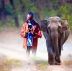 Paresh Frank Paresh - Facebook