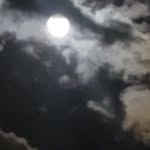 Frank Pasquale - @frank.pasquale.520 - Instagram