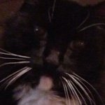 Frank Patch - @frank_patch - Instagram
