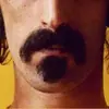 FrankZappasSoulPatch - @frankzappassoulpatch - TikTok
