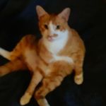 frank pate - @hattiepate38 - Instagram