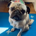 Frank Paté González Núñez - @frank_pate_gn - Instagram