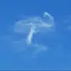 frankpate491 - @frankpate491 - TikTok