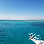 FrankPeake - @frankpeake15 - Instagram