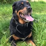Frank Pedersen - @frank.pedersen - Instagram