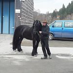 Frank Pedersen - @pedersen404 - Instagram