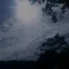 Frank Pedro - @frankpedro.502 - TikTok