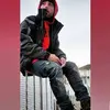 Frank Padula - @frankpadula - TikTok