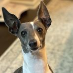 Frank Pell - Facebook