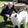 frank pellicone - @pellifranko - TikTok