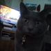 Frankie Pennington - Facebook