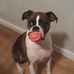 Frankie Pennington - Facebook