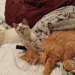 Frank & Penny - @frank_loves_penny - Instagram
