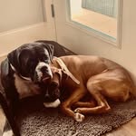 Frank & Penny 💕 - @frankynpenny - Instagram