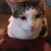 Frank Perillo - Facebook