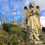 Frank Perrin - @rugbyman41 - Instagram