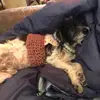 Frank Petersen - @frank.petersen47 - TikTok