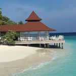Frank H. Pfister - @jeanlucpicard1961 - Instagram