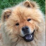 Frank Pfister - @pfister7960 - Instagram
