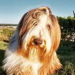 Frank Pfister - @frank.pfister - Instagram