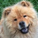 Frank Pfister - @8381frank - Instagram